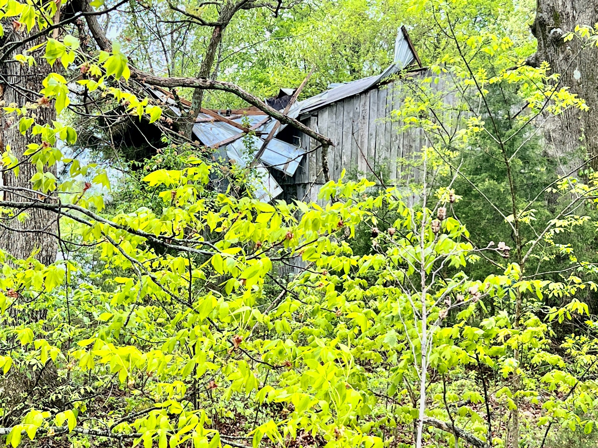1743 Bumpus Mills Road Dover, TN 37058 - Photo 10 of 13 Gallery Image 10