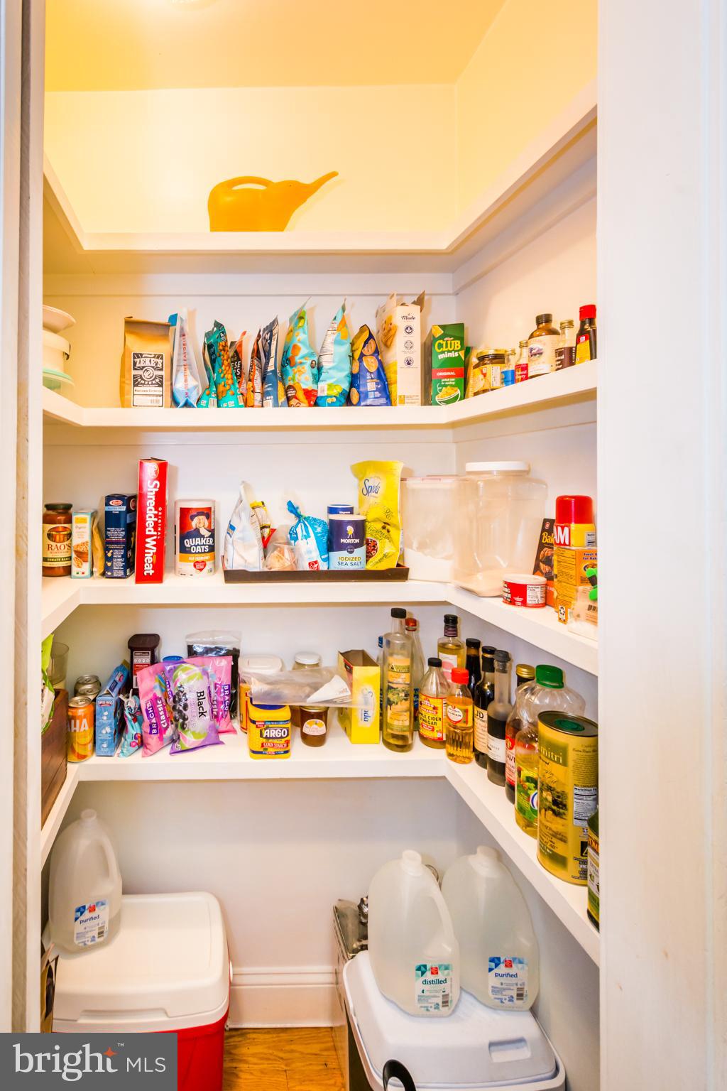 1273 Riverside Avenue Baltimore, MD 21230 - Photo 10 of 54 a pantry with pocket door