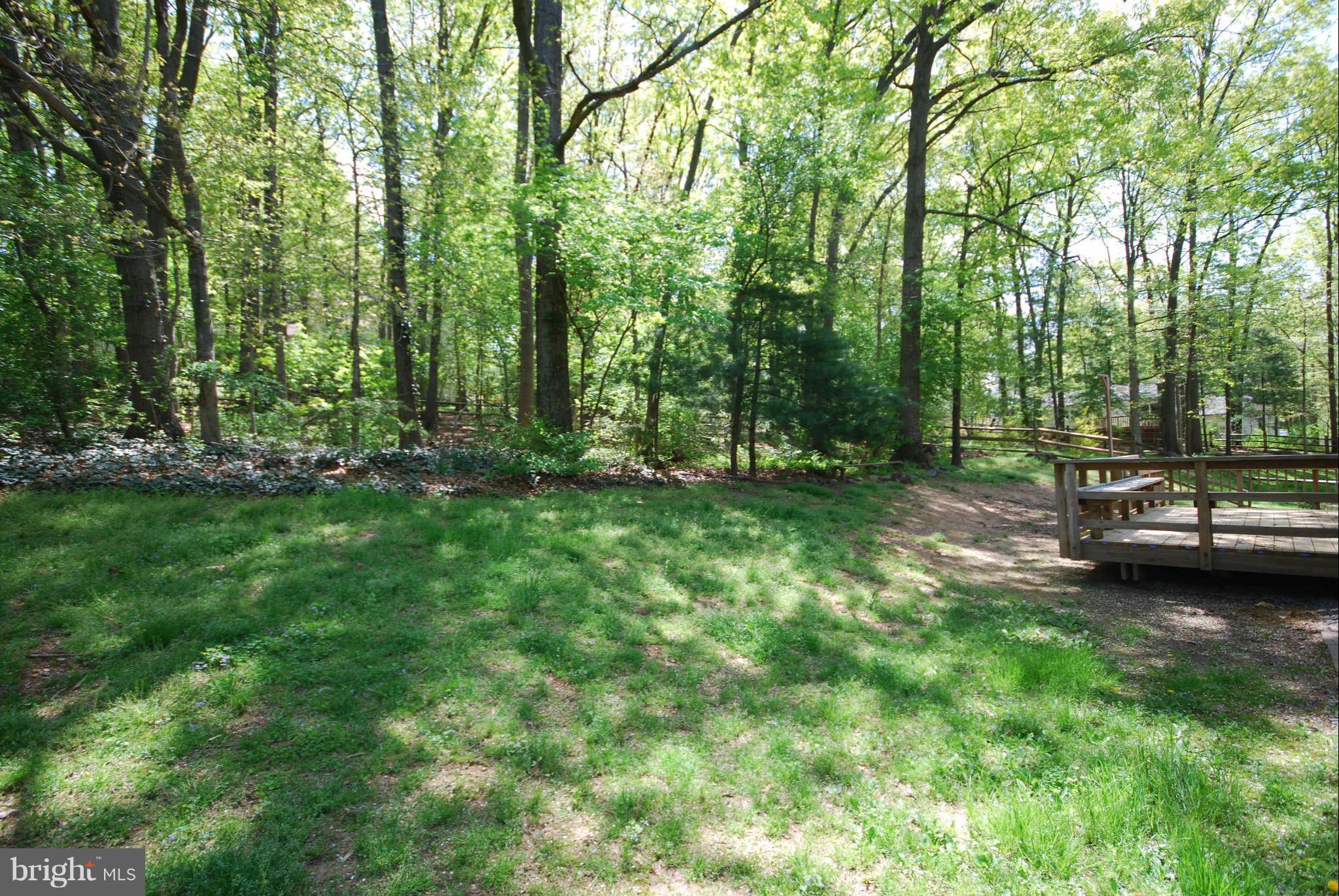 1815 Cranberry Lane Reston, VA 20191 - Photo 21 of 28 Exterior (Rear)