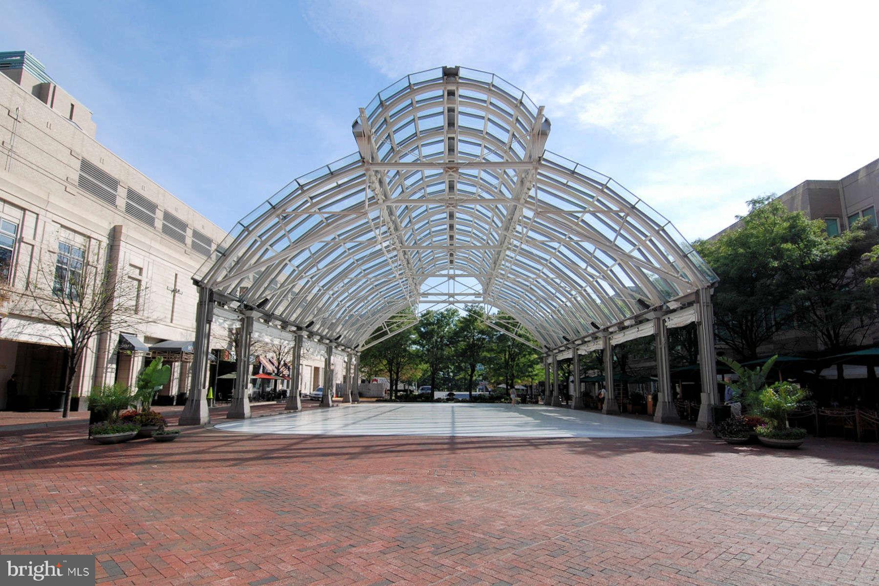 1815 Cranberry Lane Reston, VA 20191 - Photo 25 of 28 Reston Town Center