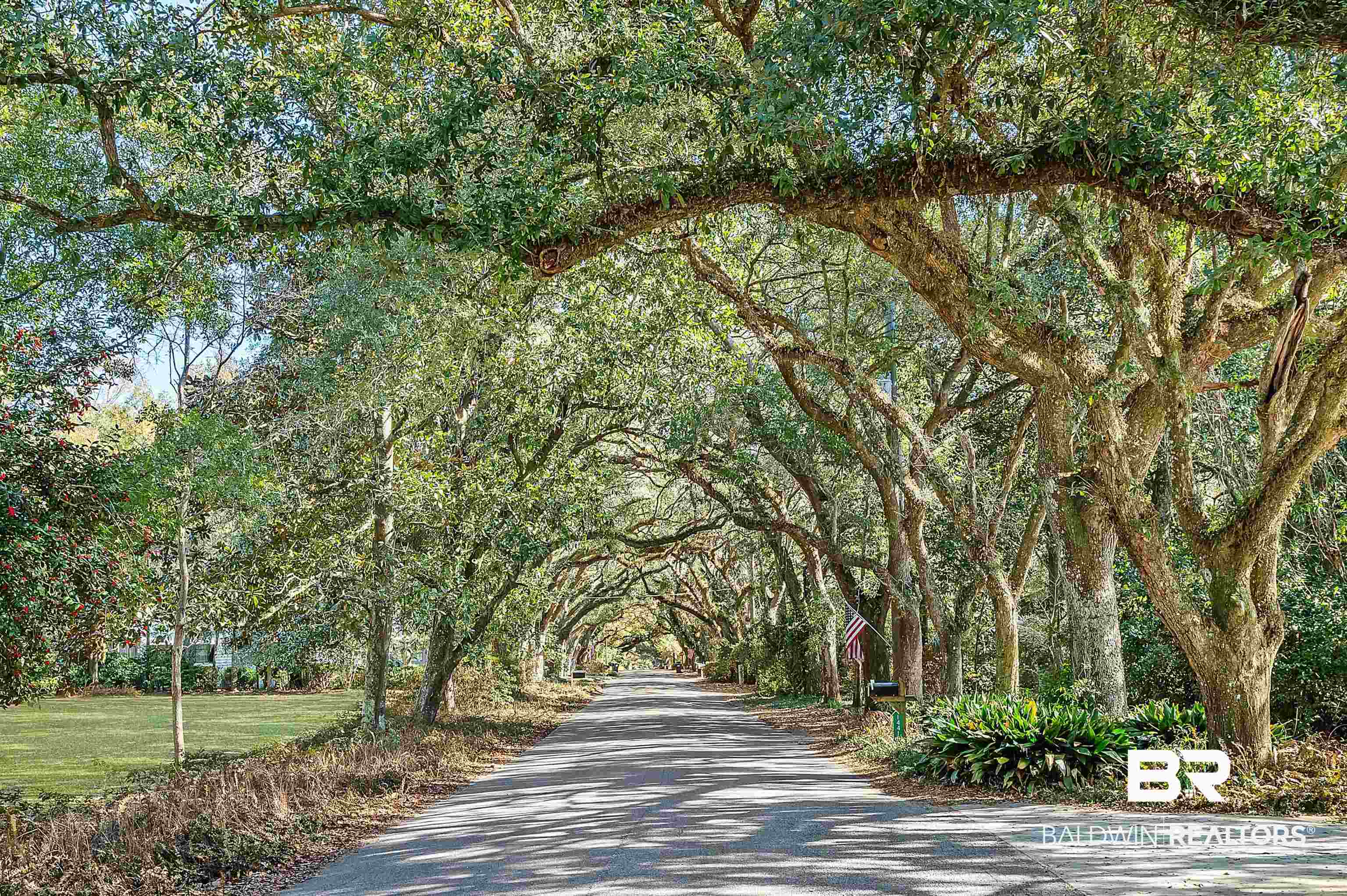 14375 Oak Street Magnolia Springs, AL 36555 - Photo 20 of 20 Oak Street canopy of oaks