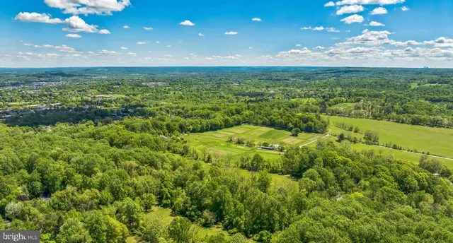 a huge green field with lots of trees