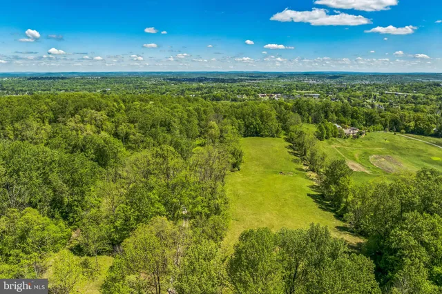 a big yard with lots of green space and deers