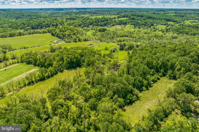 a view of yard with swimming pool