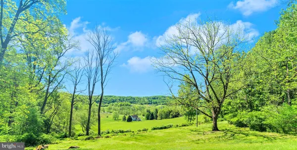 a huge green field with lots of trees