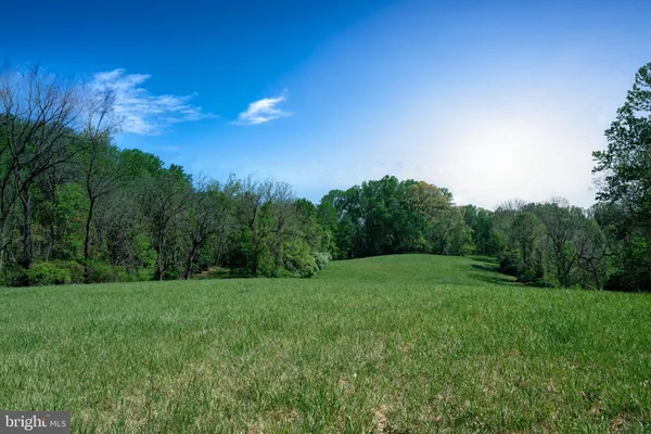 a big yard with lots of green space and deers