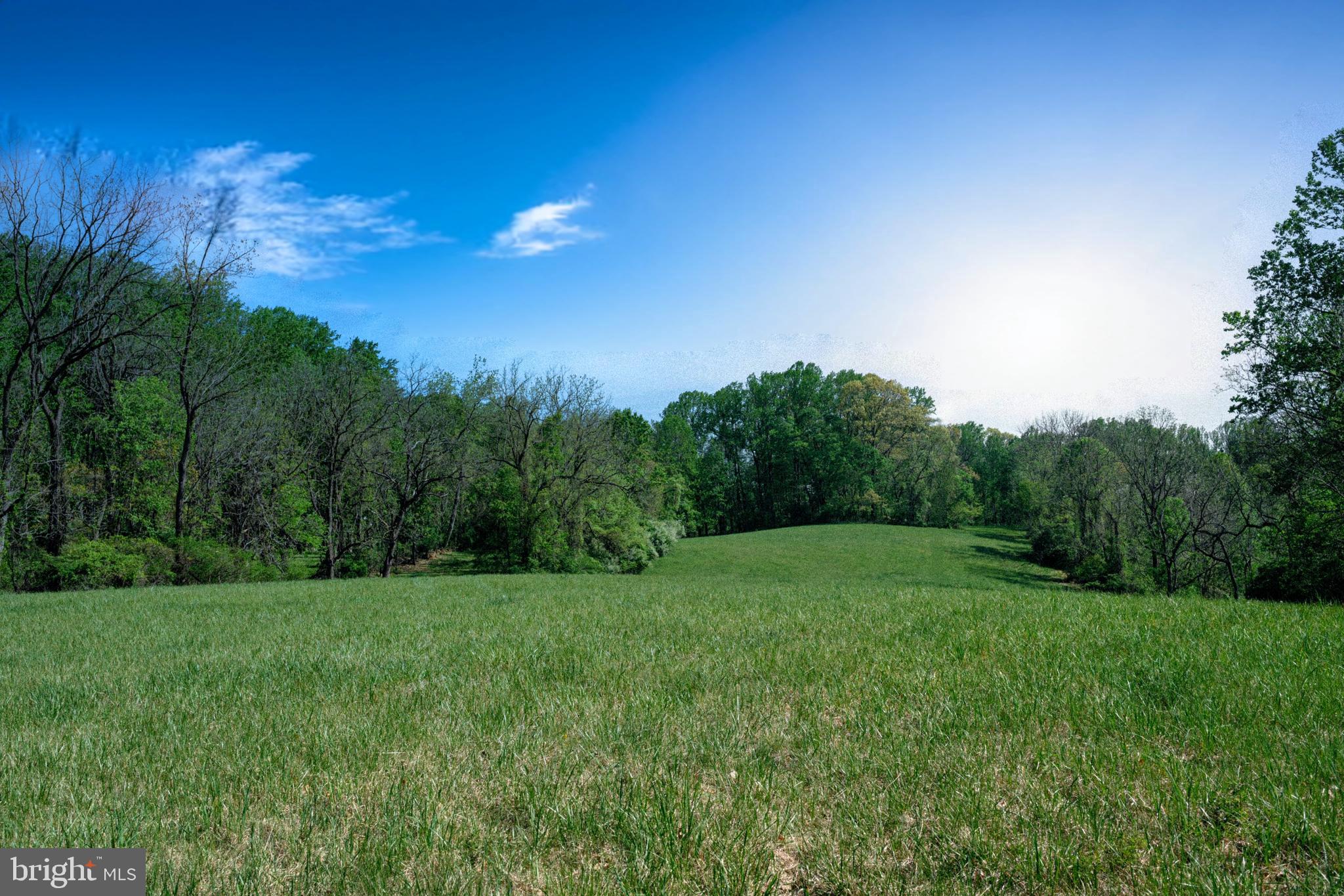 2585 Charlestown Road Phoenixville, PA 19460 - Photo 25 of 61 a view of grassy field with trees in the background
