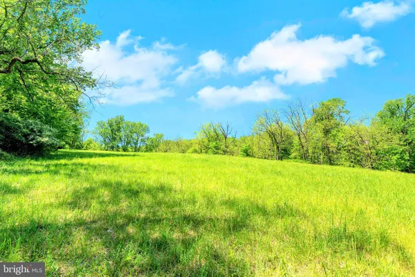 a view of a large yard with lots of green space
