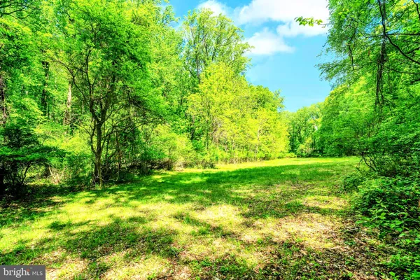 a view of a yard