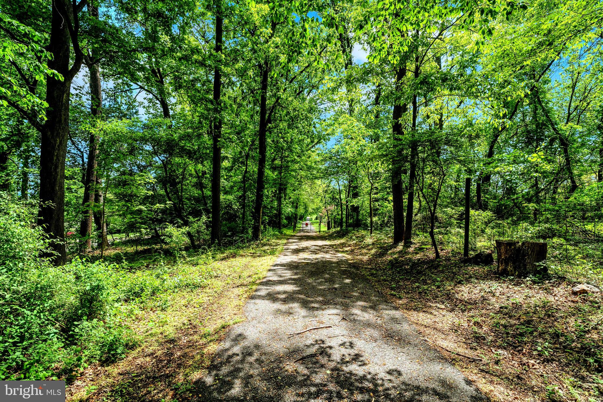 2585 Charlestown Road Phoenixville, PA 19460 - Photo 31 of 61 a big yard with lots of green space and deers