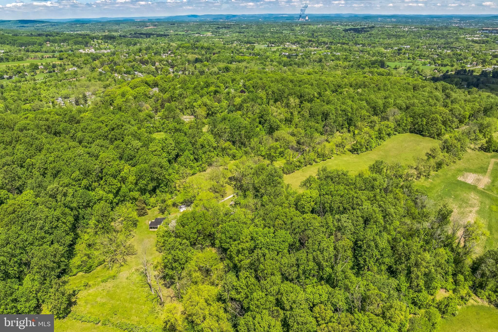 2585 Charlestown Road Phoenixville, PA 19460 - Photo 35 of 61 a view of a yard with plants and large trees