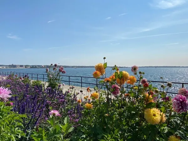 a view of an empty room with a fireplace