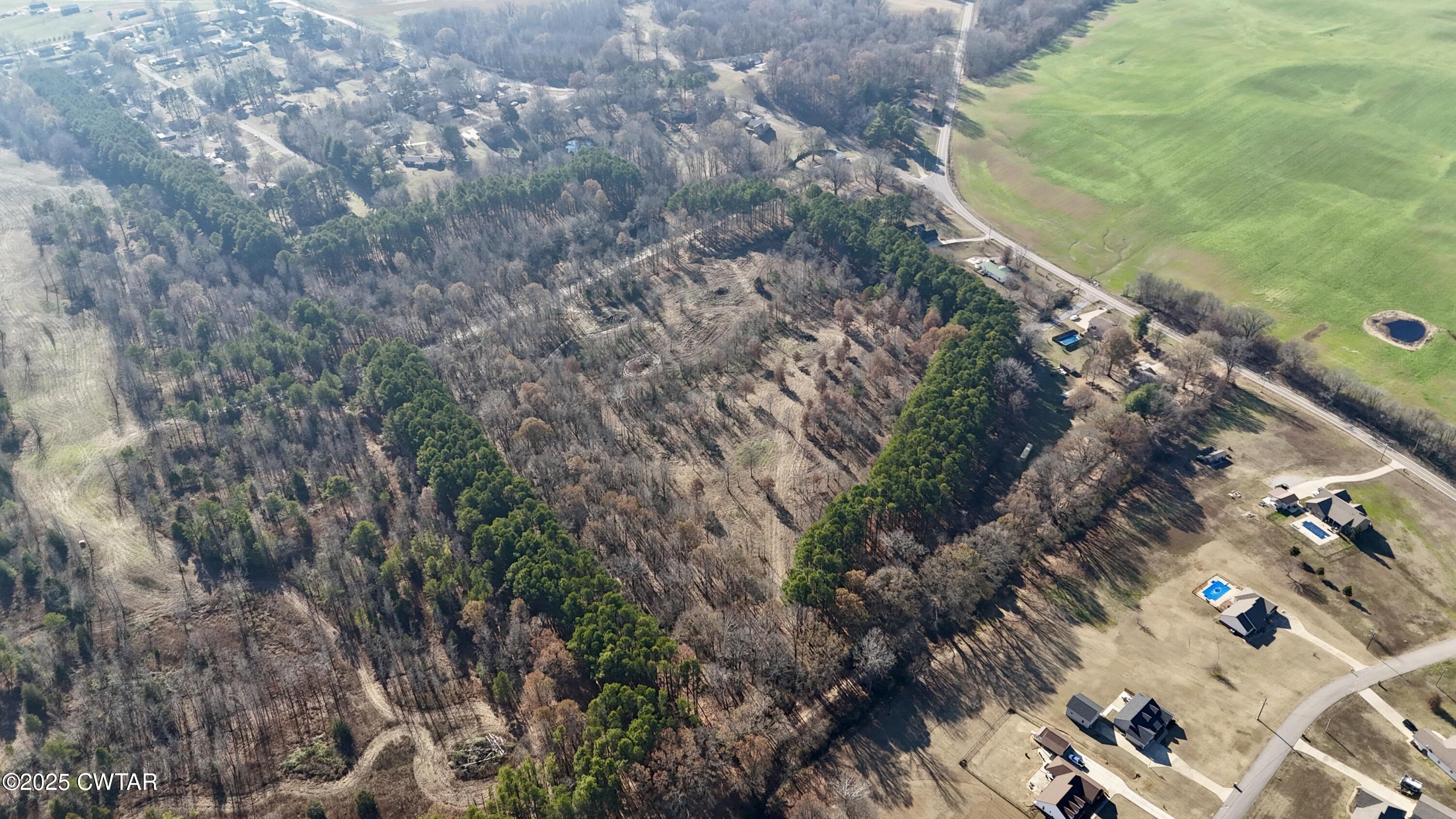 0 Hamer Road Dyersburg, TN 38024 - Photo 12 of 15 a view of a yard with plants