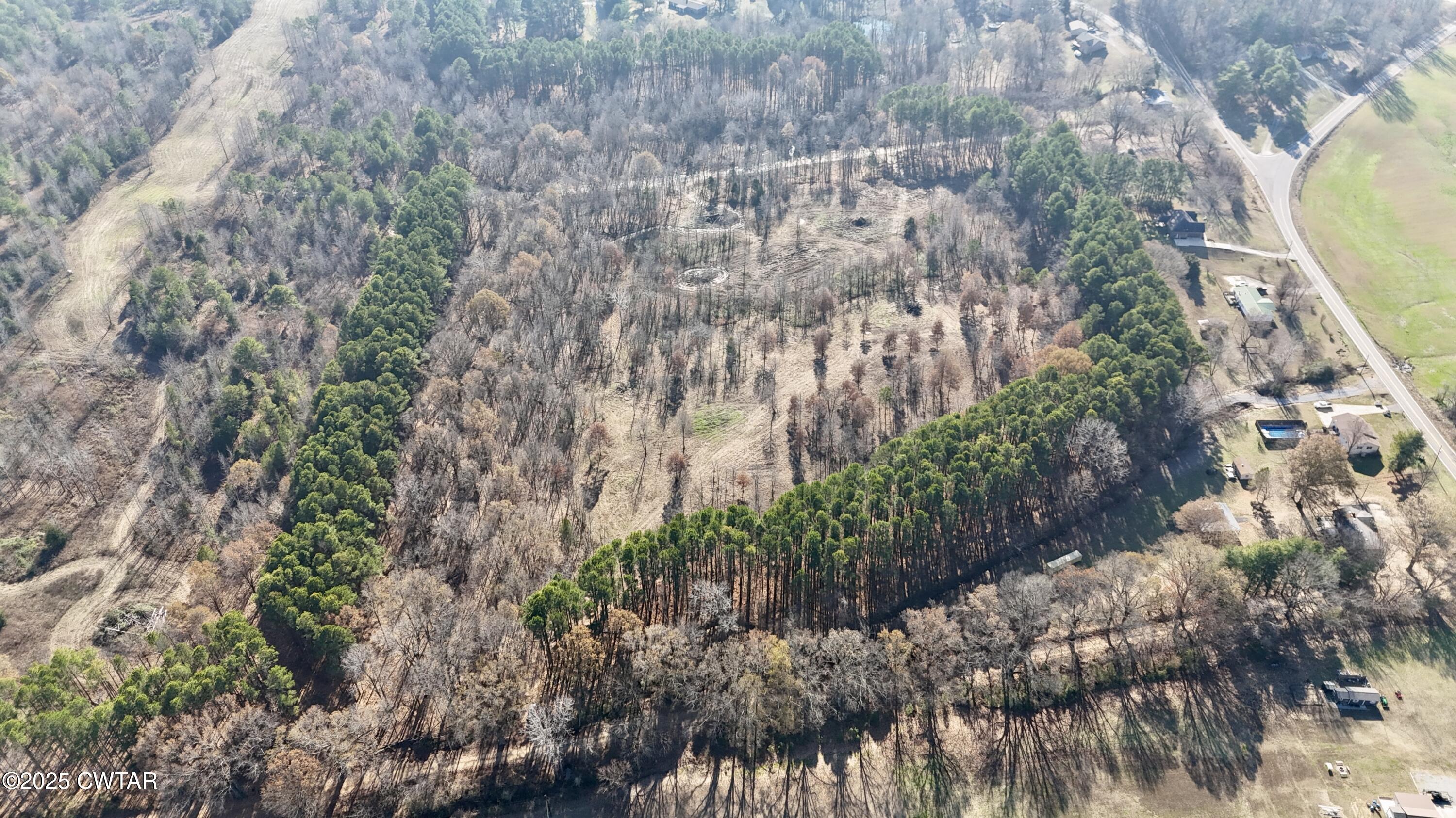 0 Hamer Road Dyersburg, TN 38024 - Photo 13 of 15 a view of a yard with plants and large trees