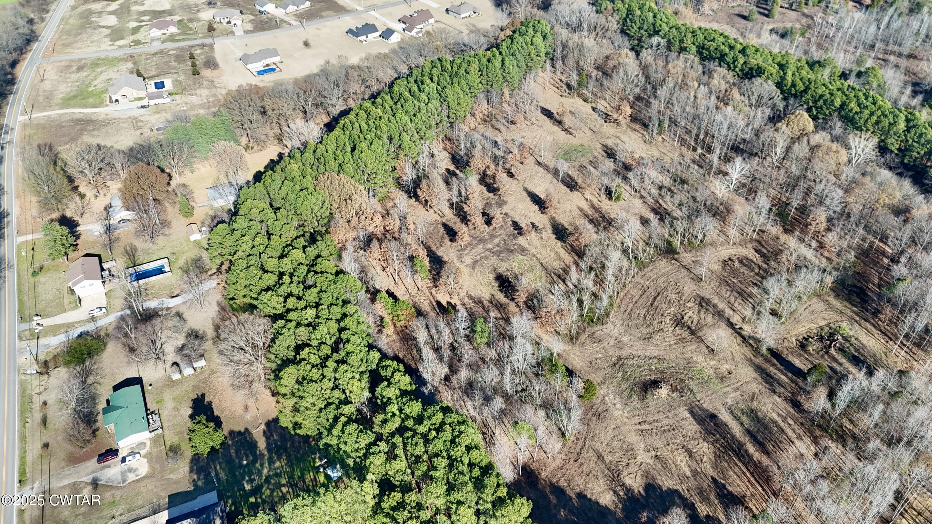 0 Hamer Road Dyersburg, TN 38024 - Photo 14 of 15 a plant with lots of trees
