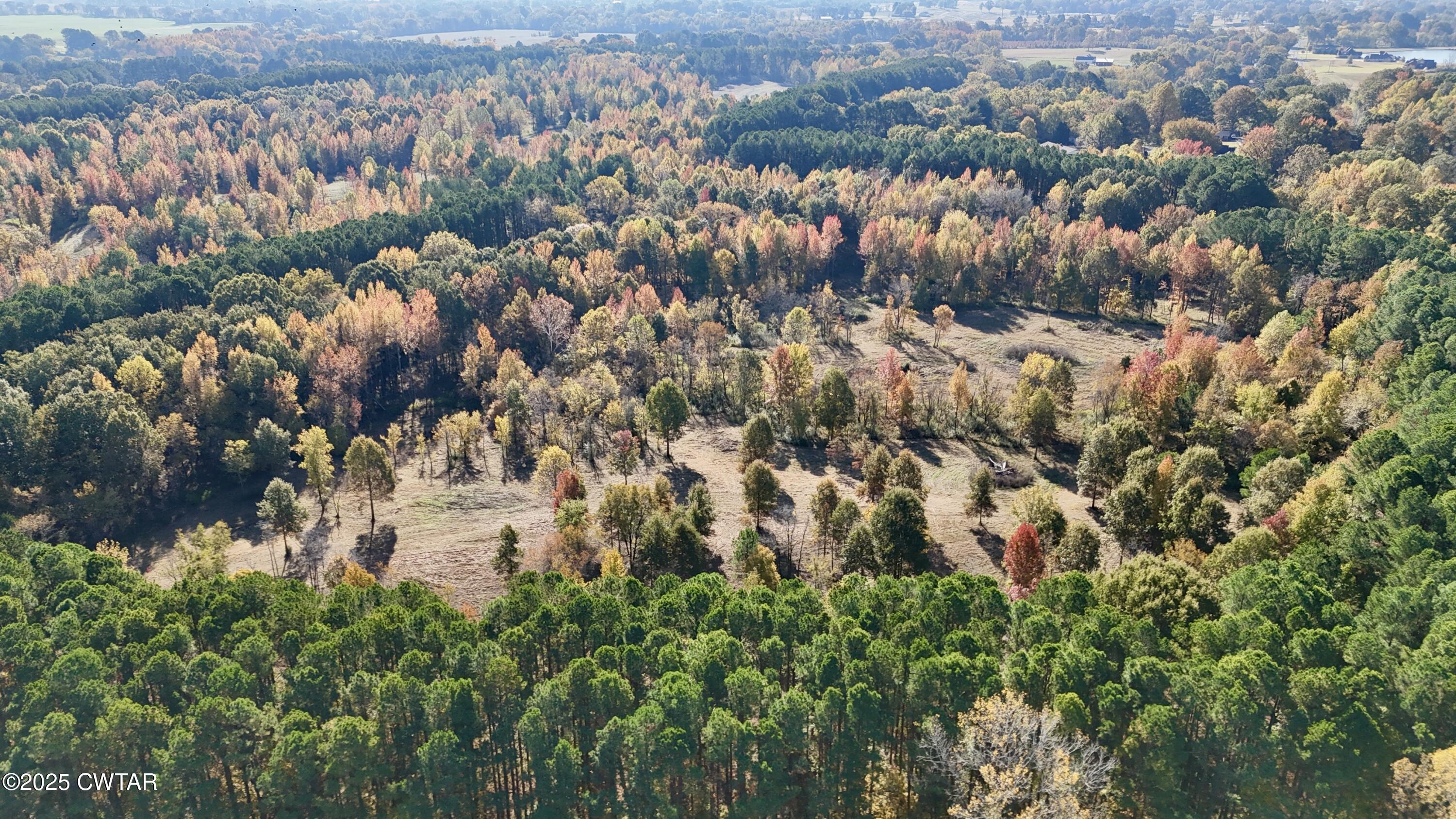 0 Hamer Road Dyersburg, TN 38024 - Photo 3 of 15 a view of a city