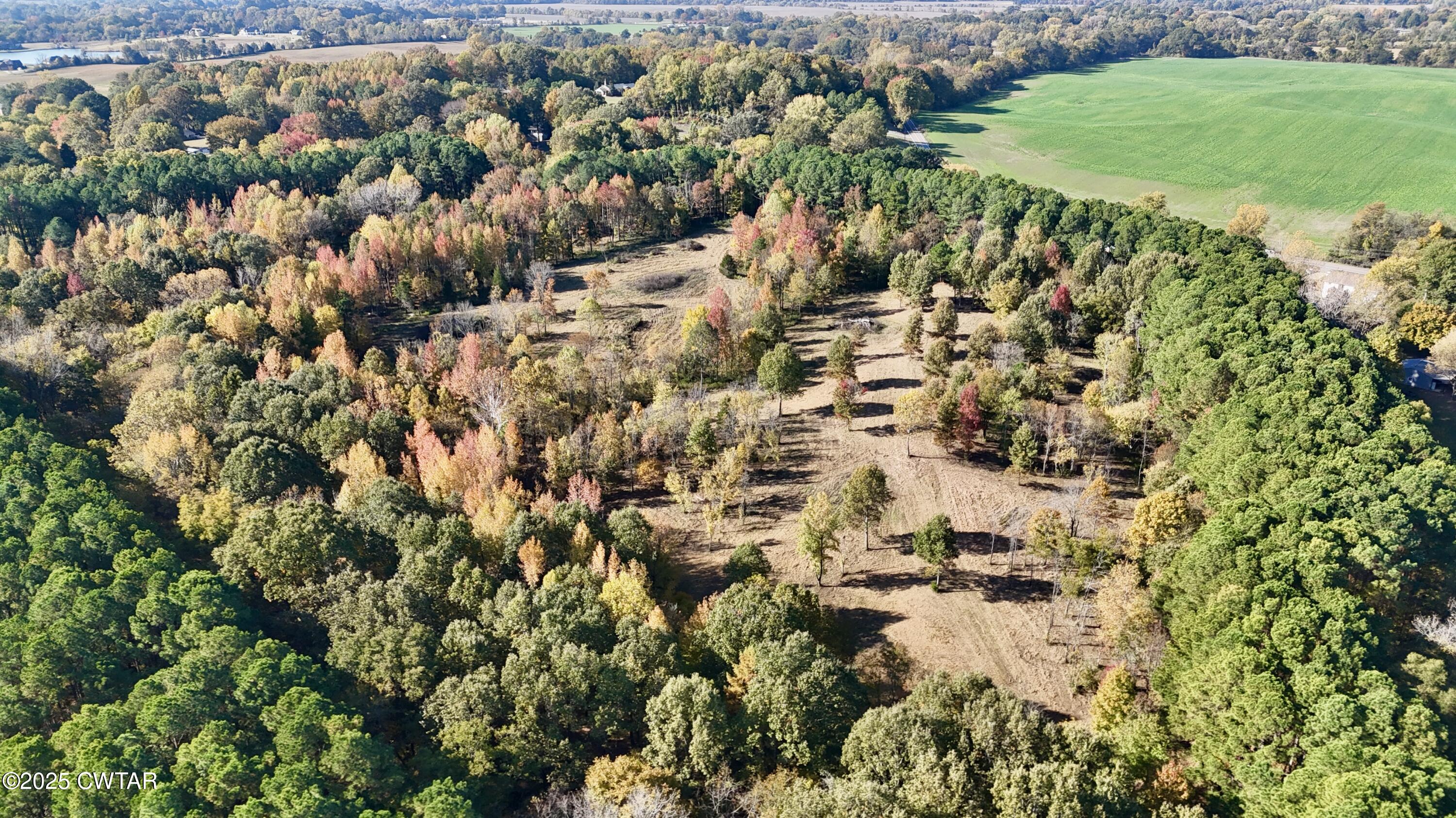 0 Hamer Road Dyersburg, TN 38024 - Photo 4 of 15