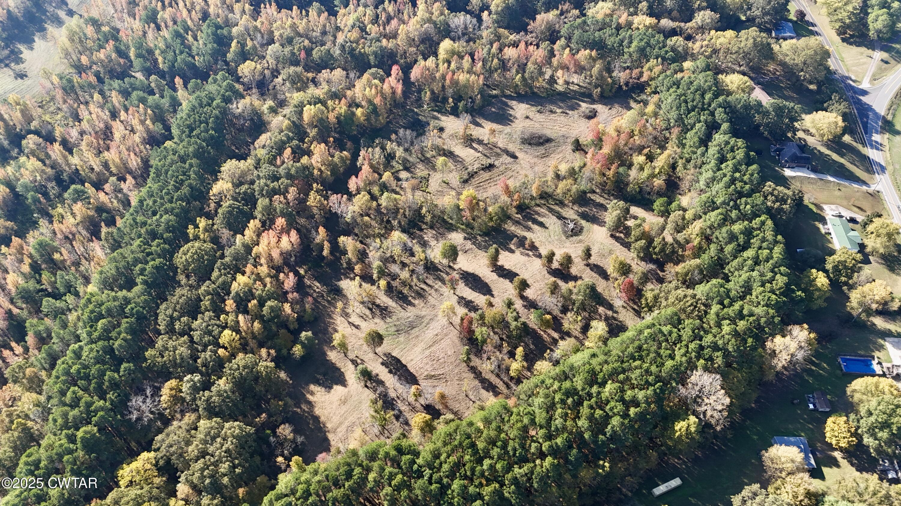 0 Hamer Road Dyersburg, TN 38024 - Photo 5 of 15 a view of a tree