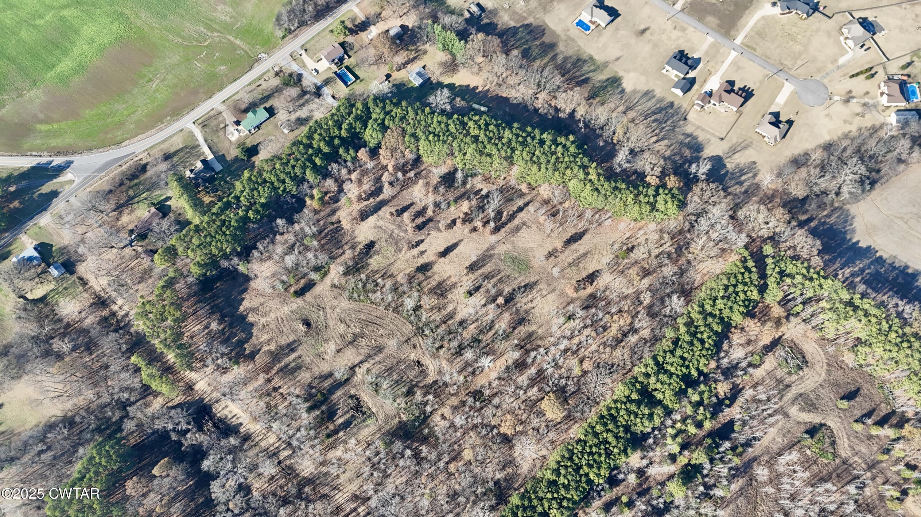 0 Hamer Road Dyersburg, TN 38024 - Photo 6 of 15 a plant with lots of trees