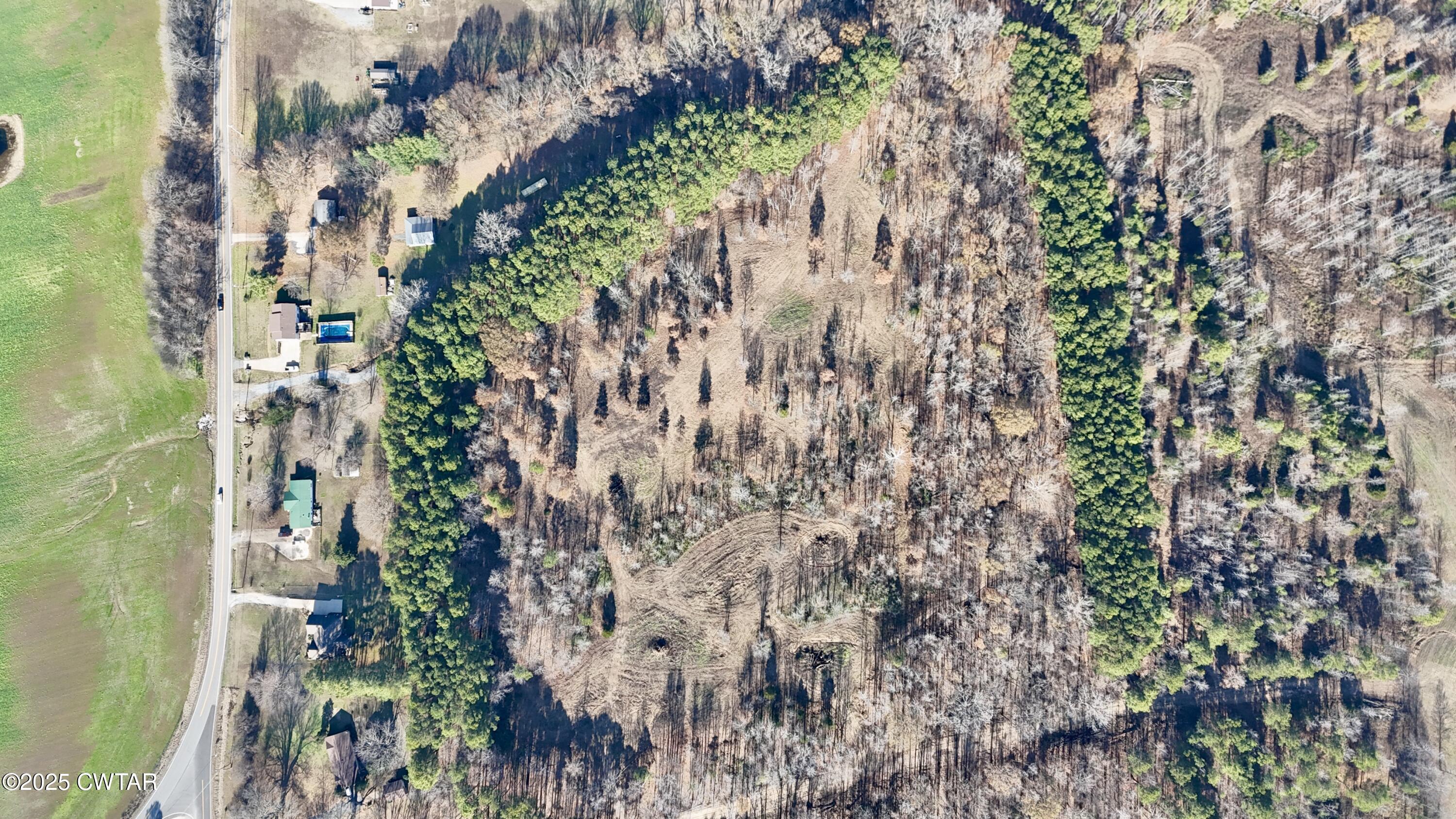 0 Hamer Road Dyersburg, TN 38024 - Photo 8 of 15 a picture of plants