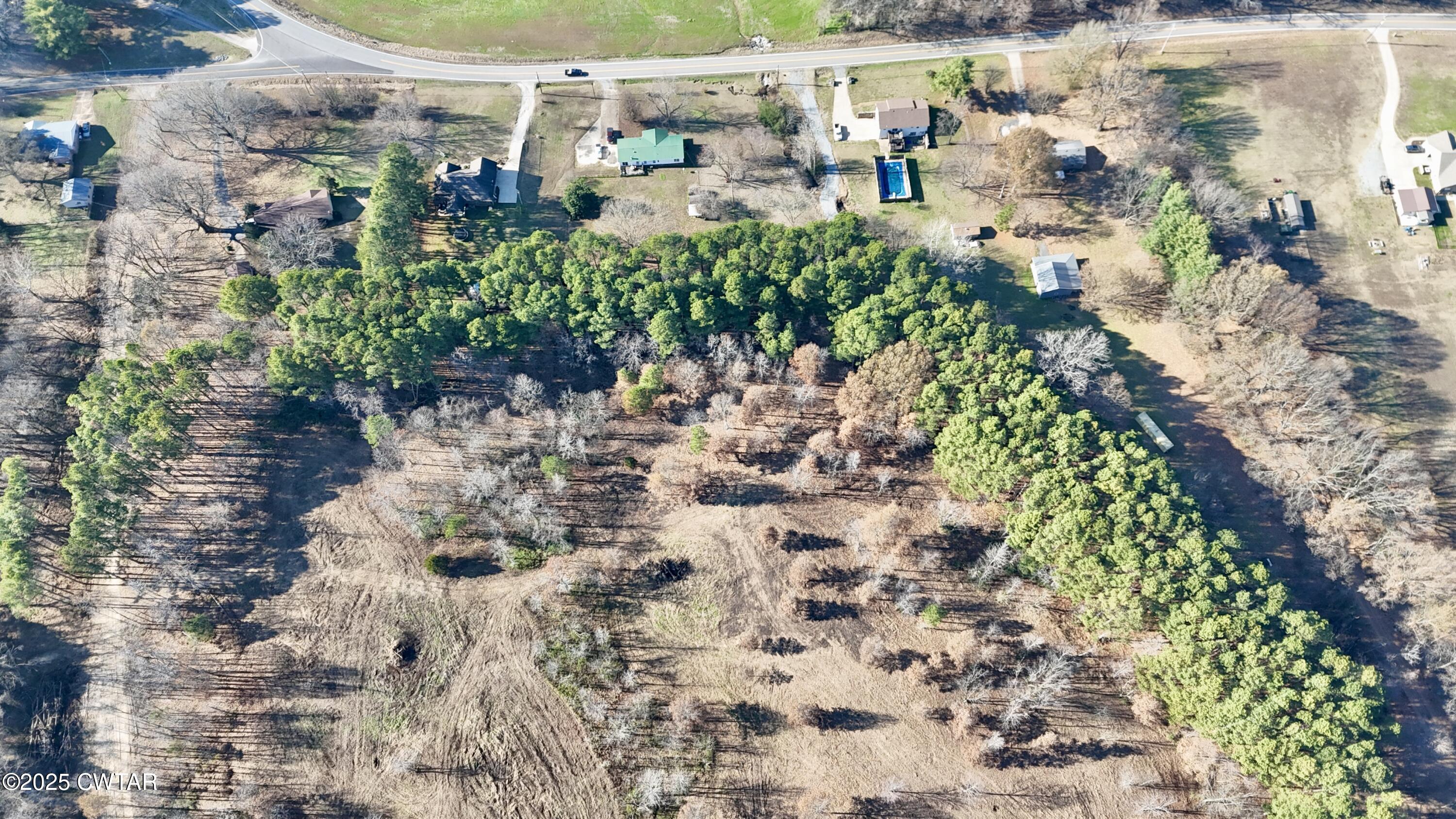 0 Hamer Road Dyersburg, TN 38024 - Photo 9 of 15 a view of a yard with plants