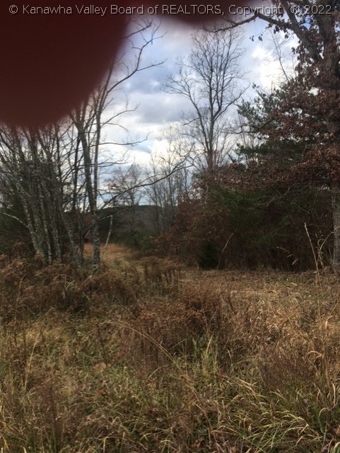 0 Sines Road Letart, WV 25253 - Photo 4 of 11 Gallery Image 4