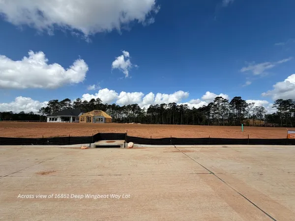 a view of a garden with a slide