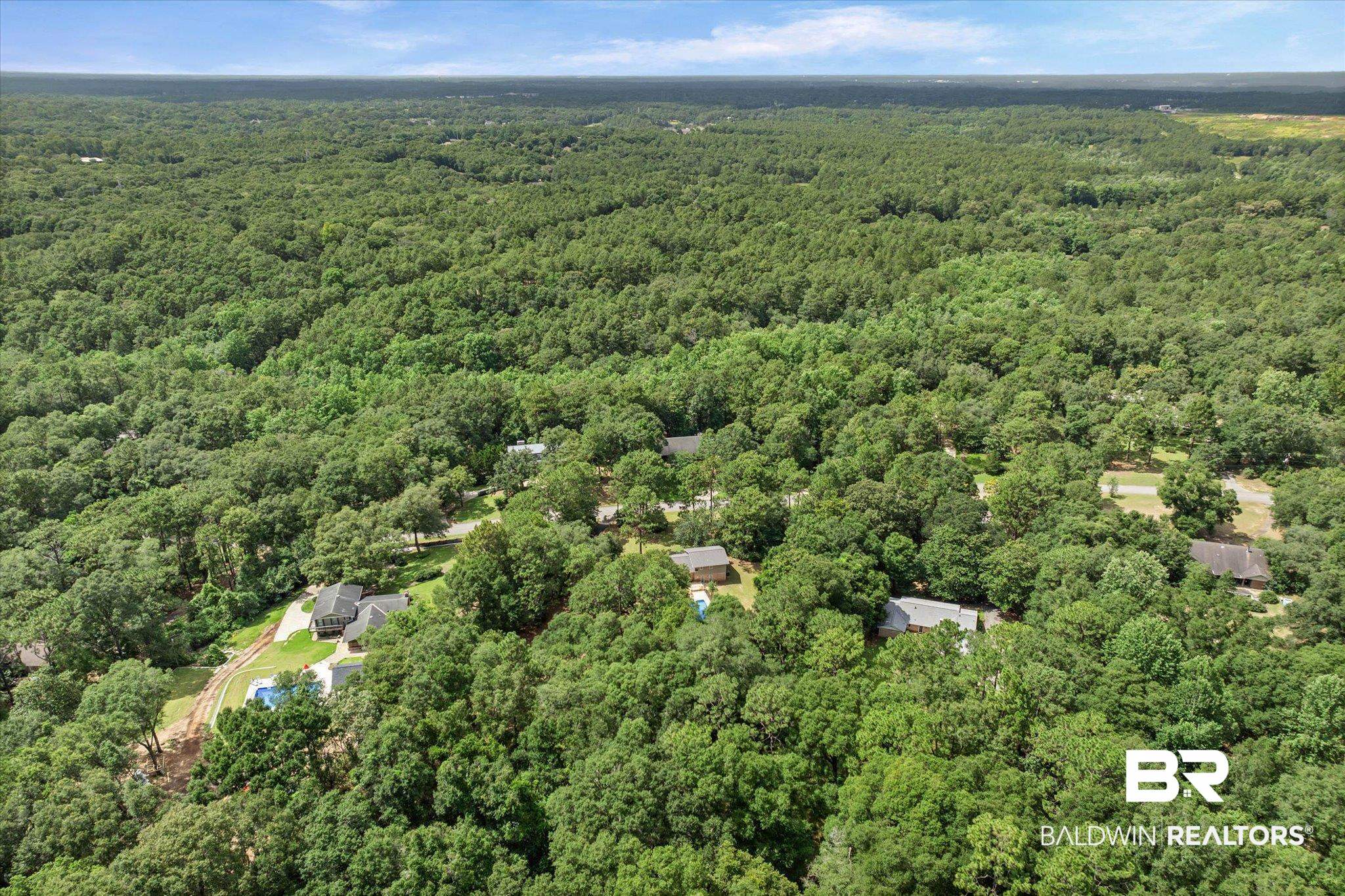 8301 Fordham Road Mobile, AL 36619 - Photo 46 of 57 Lush, expansive tree canopy surrounding residential properties