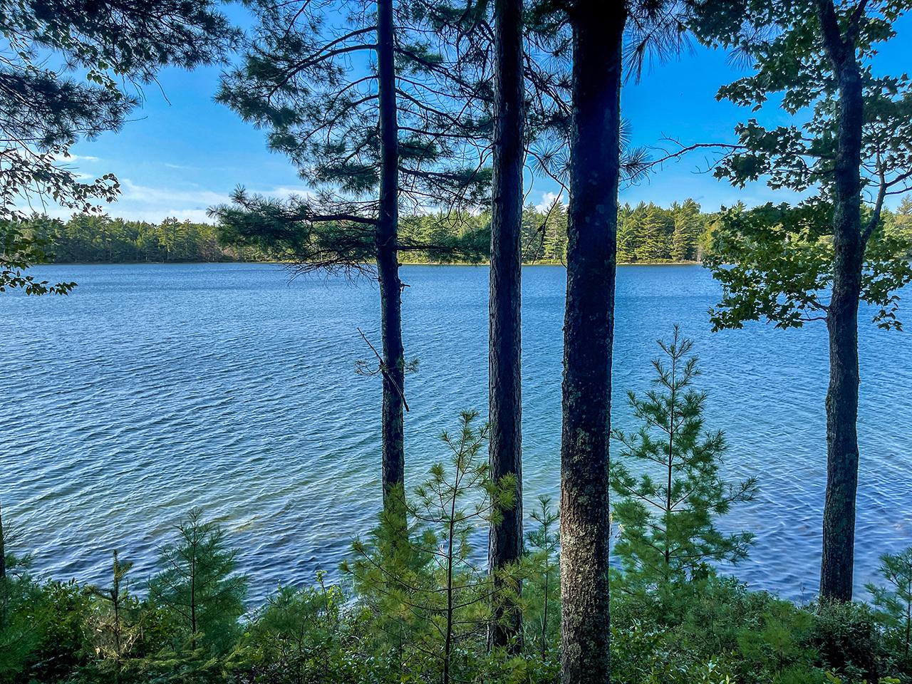 7124 Bass Lake Road Lake Tomahawk, WI 54539 - Photo 20 of 35 Gallery Image 20