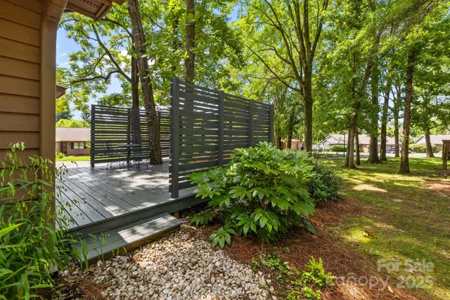 a view of a yard with plants and trees