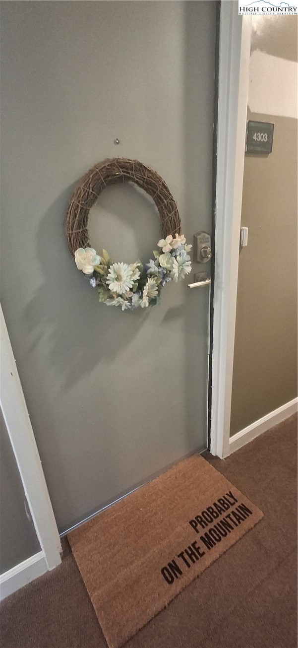 301 Pinnacle Inn Road, Unit 4303 Beech Mountain, NC 28604 - Photo 17 of 37