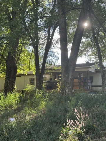 a view of backyard with plants and large trees
