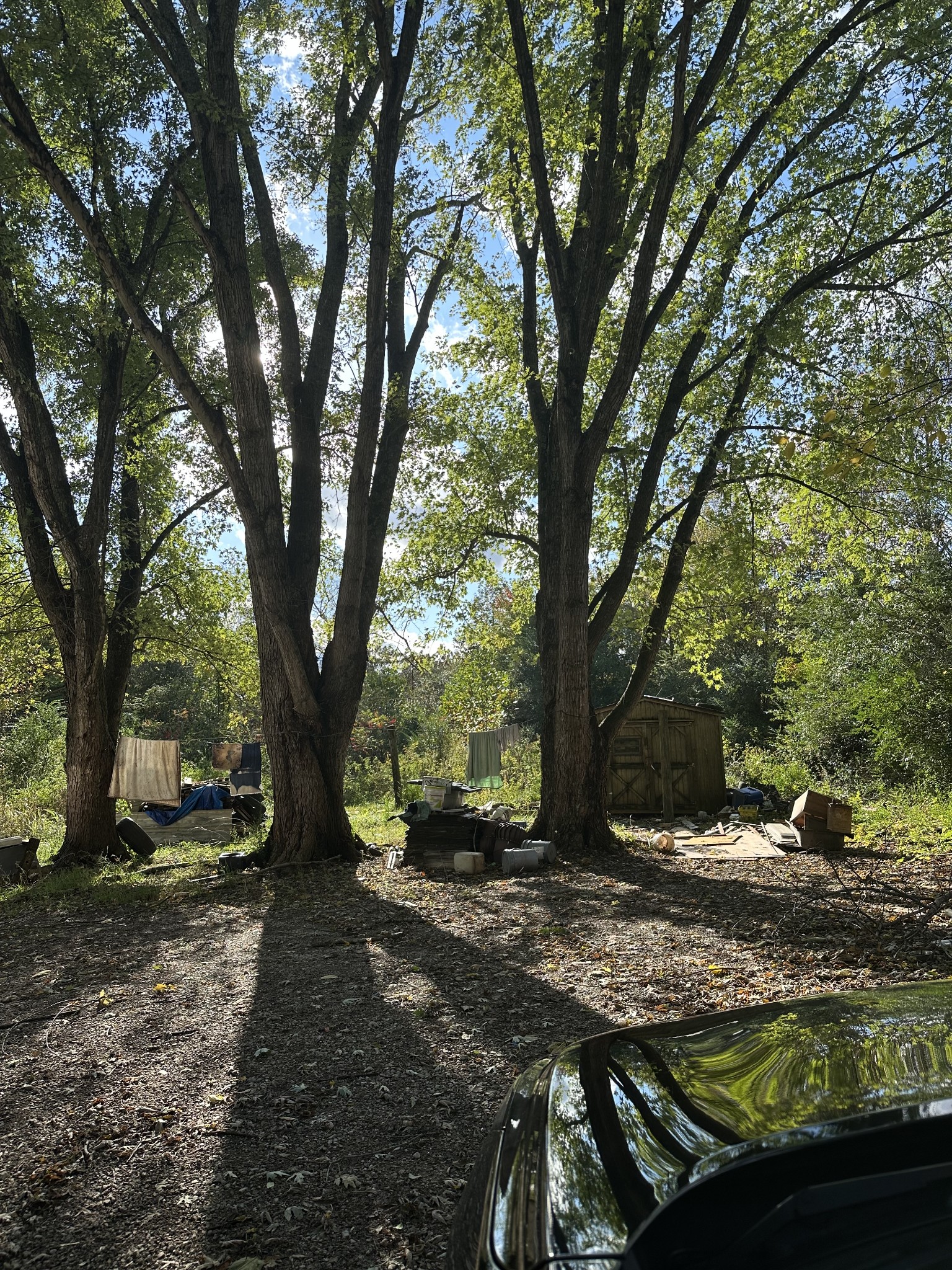 622 County House Road Livingston, TN 38570 - Photo 5 of 6 a view of outdoor space with trees