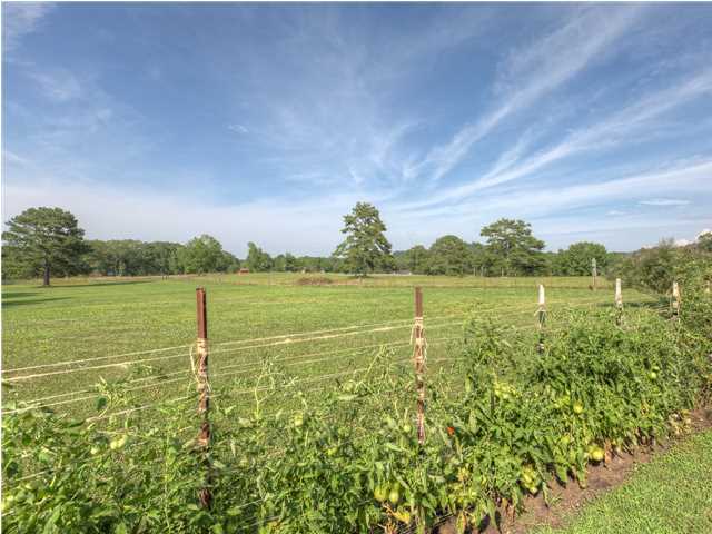 11320 Thatch Road Harrison, TN 37341 - Photo 30 of 35 Additional Photo