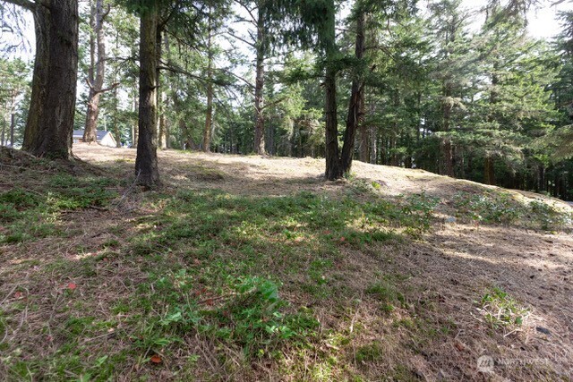 24 Mossyrock Road Friday Harbor, WA 98250 - Photo 4 of 31