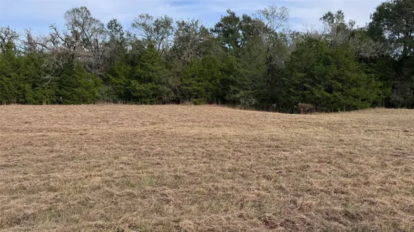 a view of empty room with green space