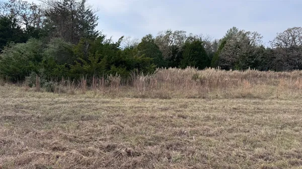 a view of a dry yard