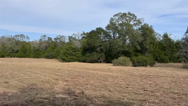 a view of a field with trees in background