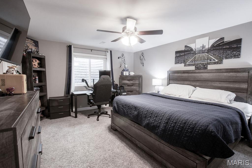 3404 Navajo Trail Shiloh, IL 62221 - Photo 39 of 59