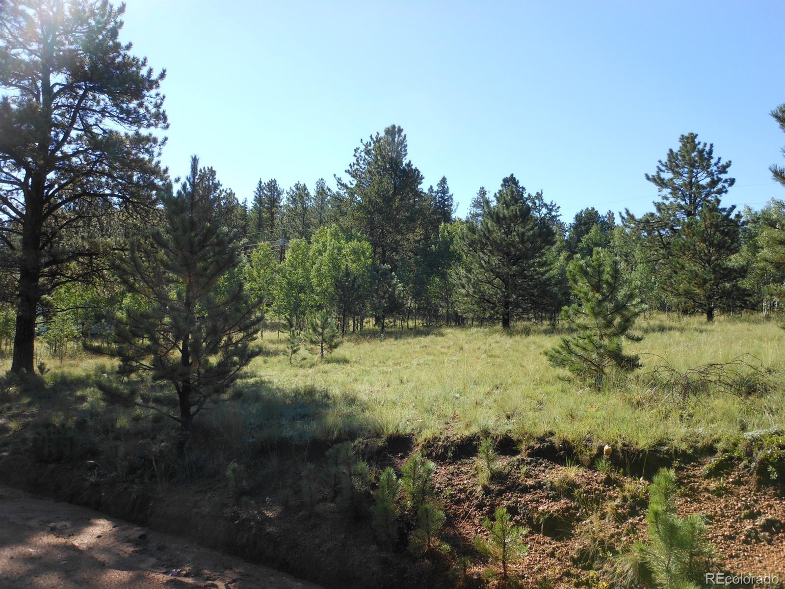 240 Anderson Road Bailey, CO 80421 - Photo 1 of 1 Gallery Image 1