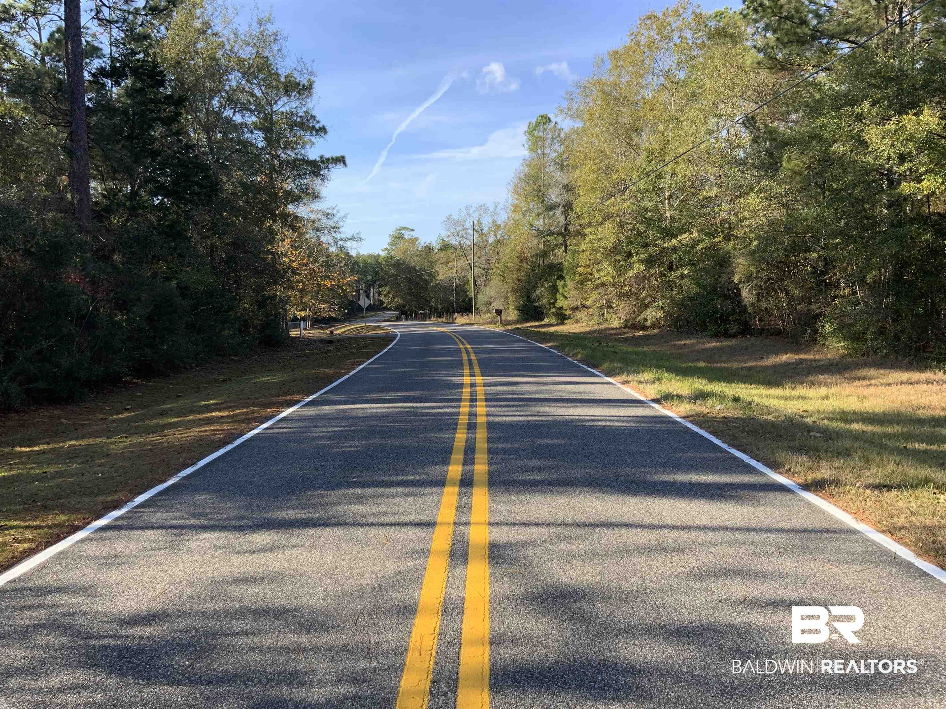 51575 Hollingsworth Road Bay Minette, AL 36507 - Photo 3 of 5 View of asphalt road featuring a forest view