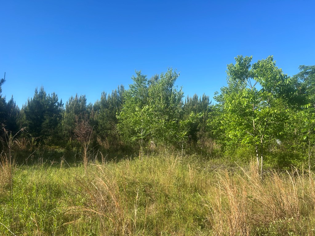 3574 East Cottonwood Road Dothan, AL 36301 - Photo 11 of 30