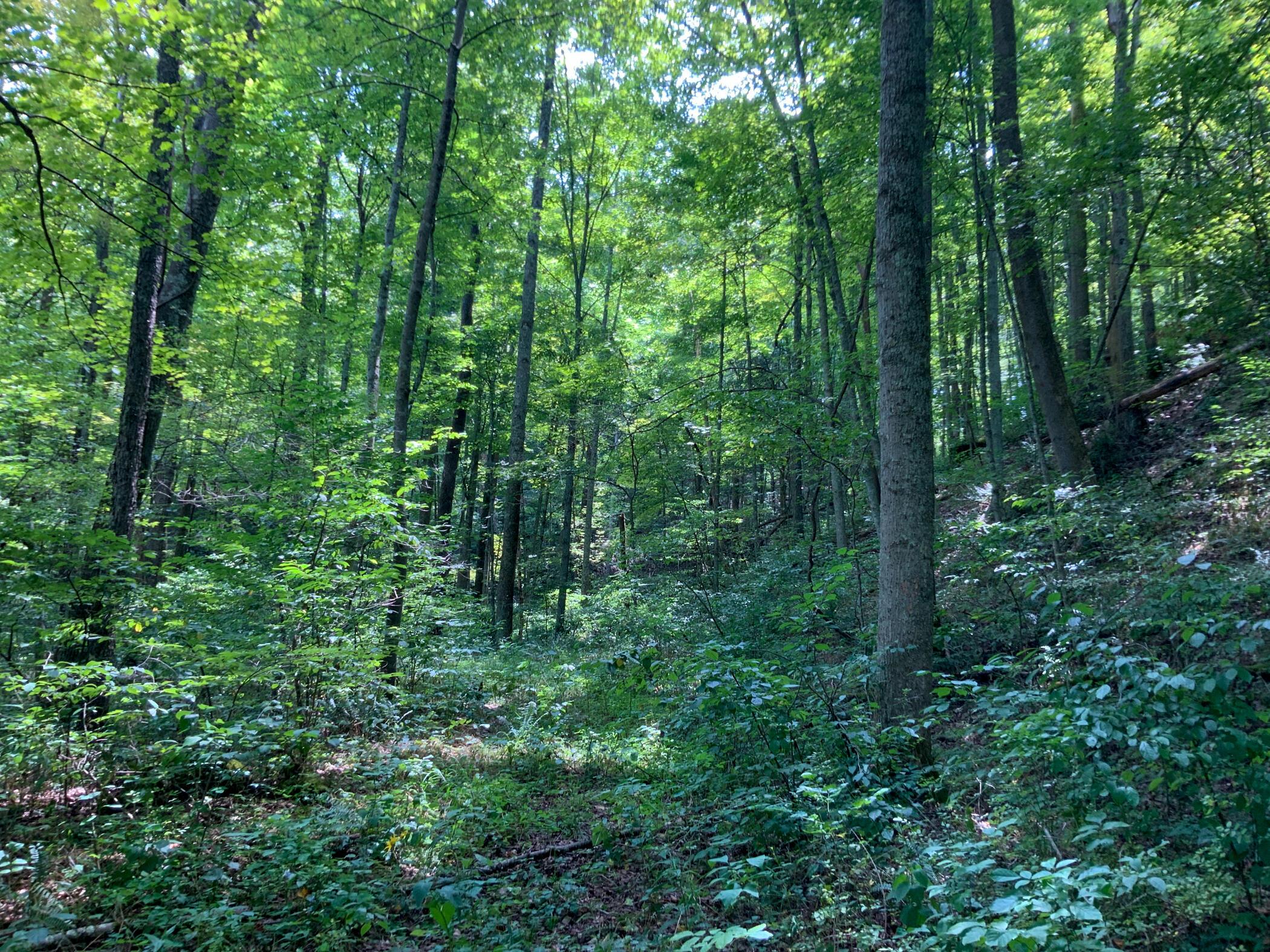 0 Brill Road Stewart, OH 45778 - Photo 18 of 49