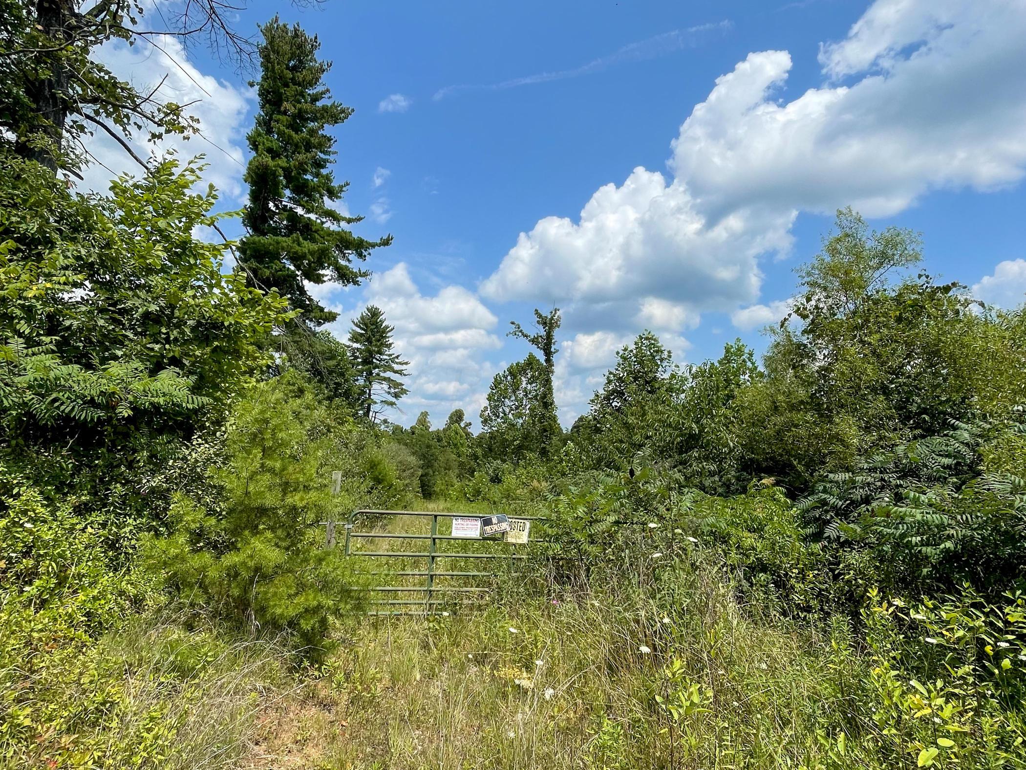 0 Brill Road Stewart, OH 45778 - Photo 21 of 49