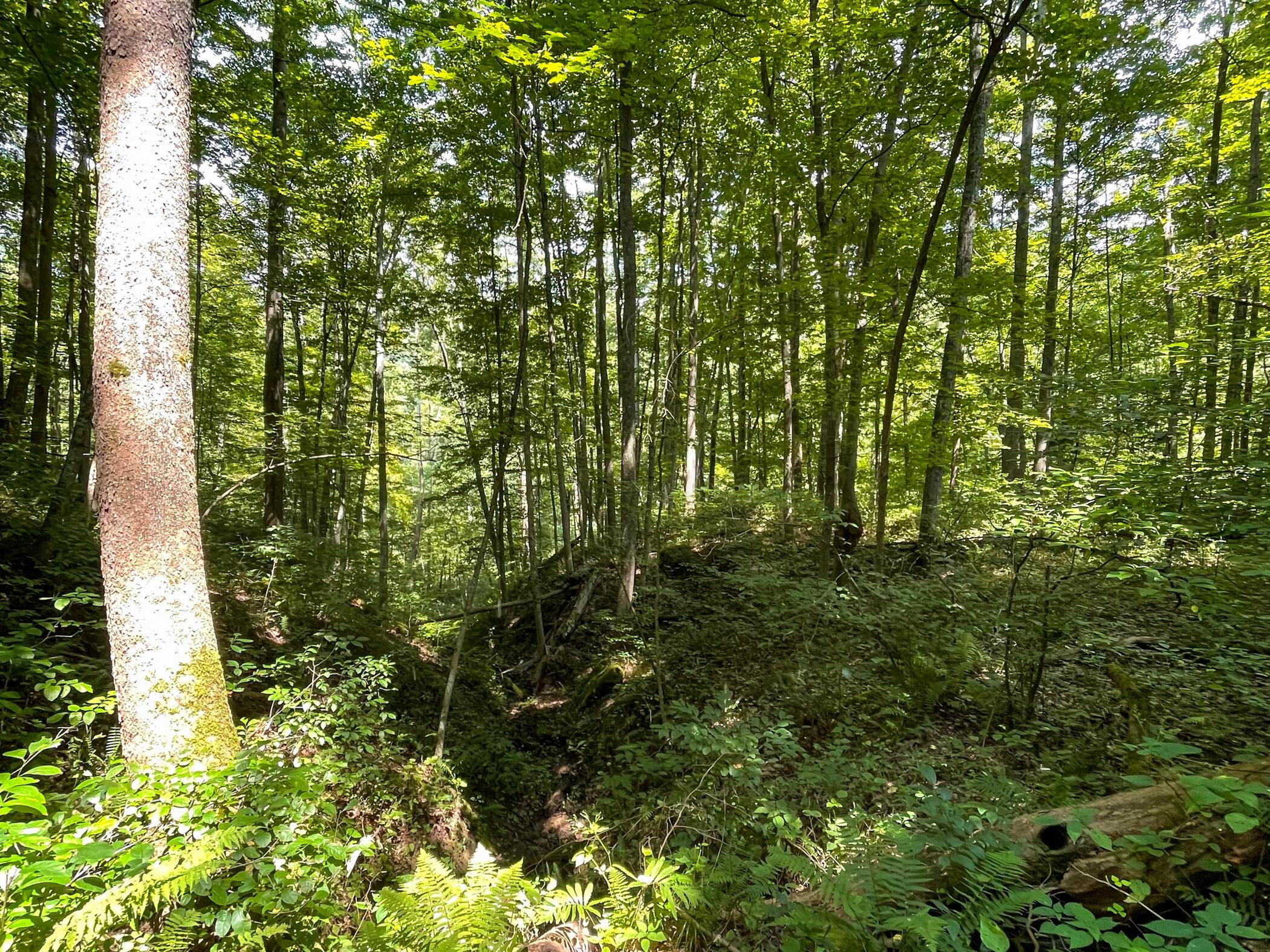 0 Brill Road Stewart, OH 45778 - Photo 42 of 49