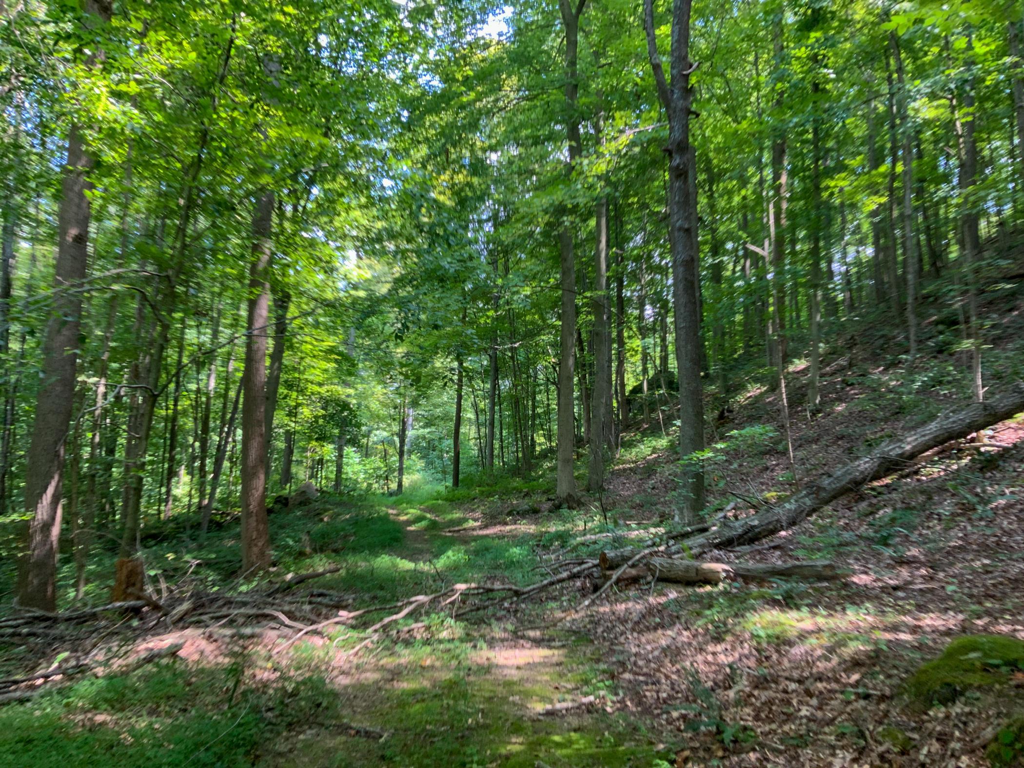 0 Brill Road Stewart, OH 45778 - Photo 6 of 49