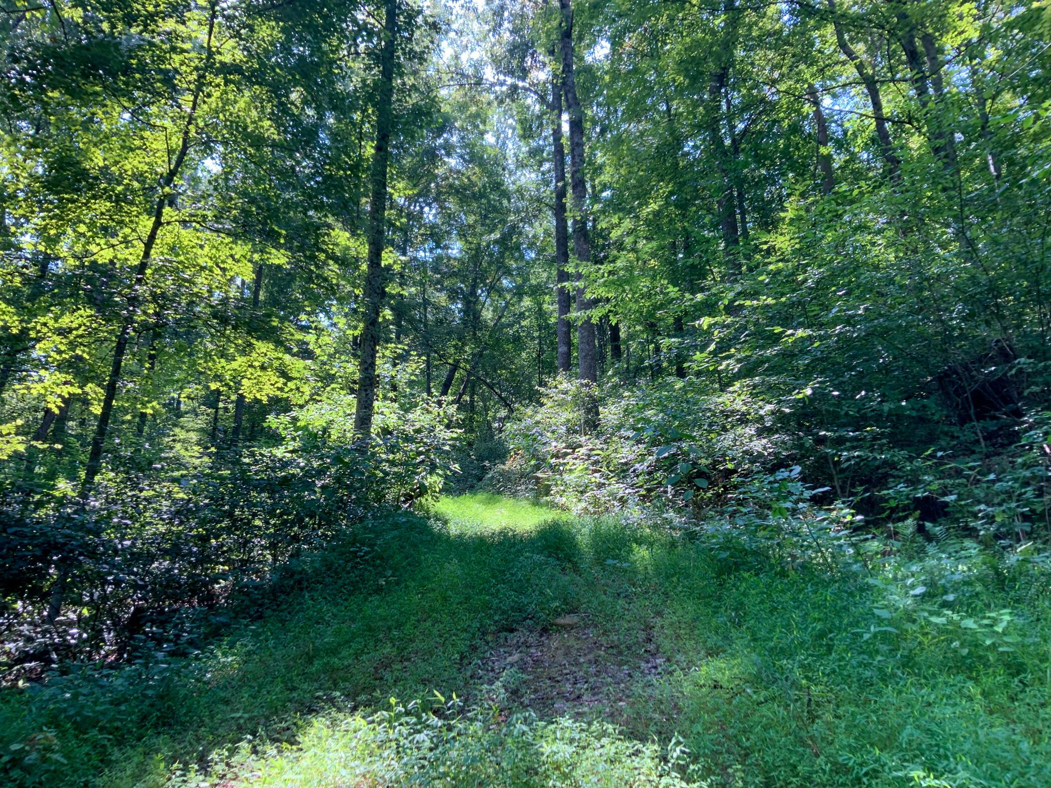 0 Brill Road Stewart, OH 45778 - Photo 8 of 49