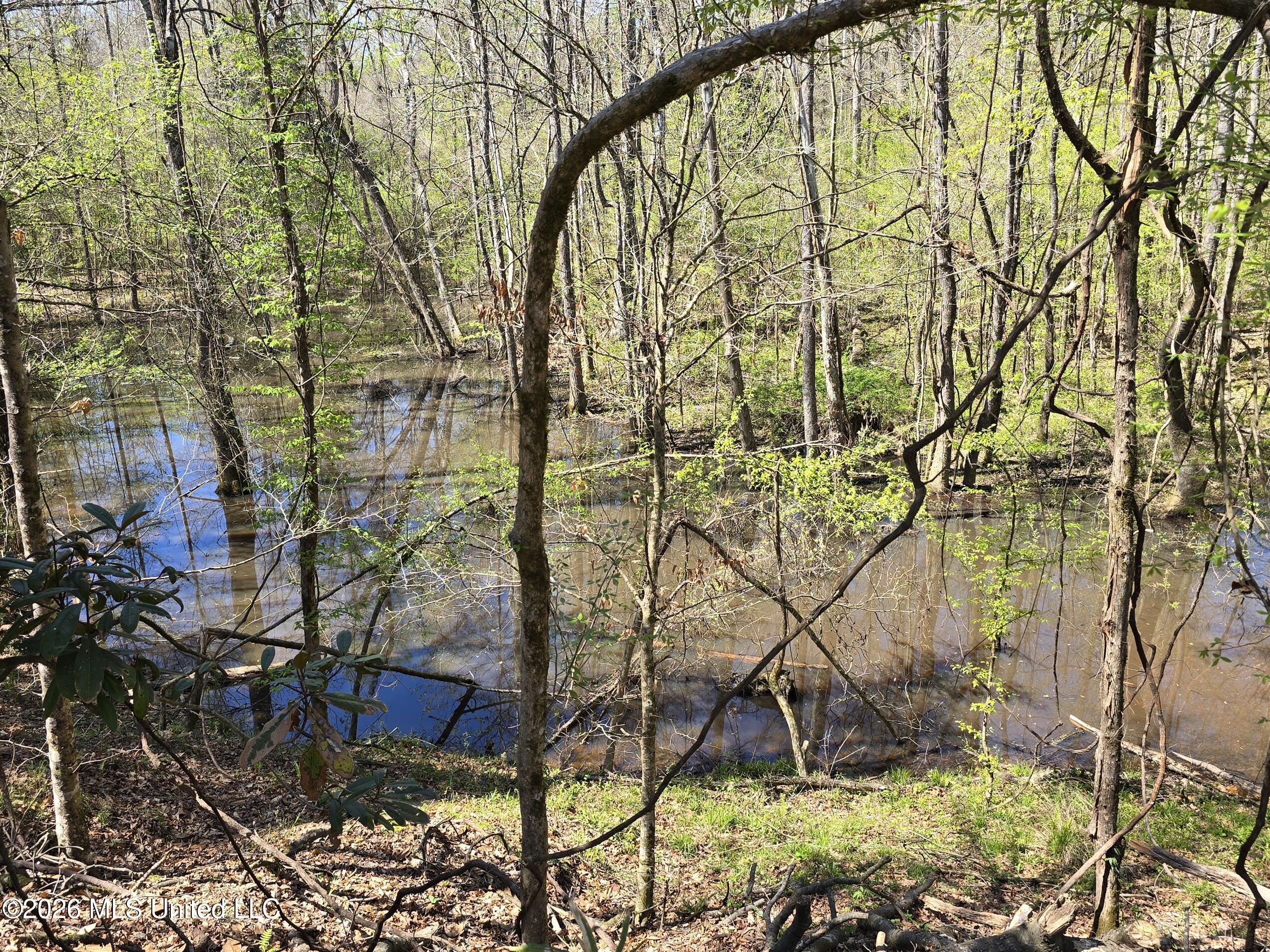 5582 White Apple Road Roxie, MS 39661 - Photo 11 of 70 20260321_134943