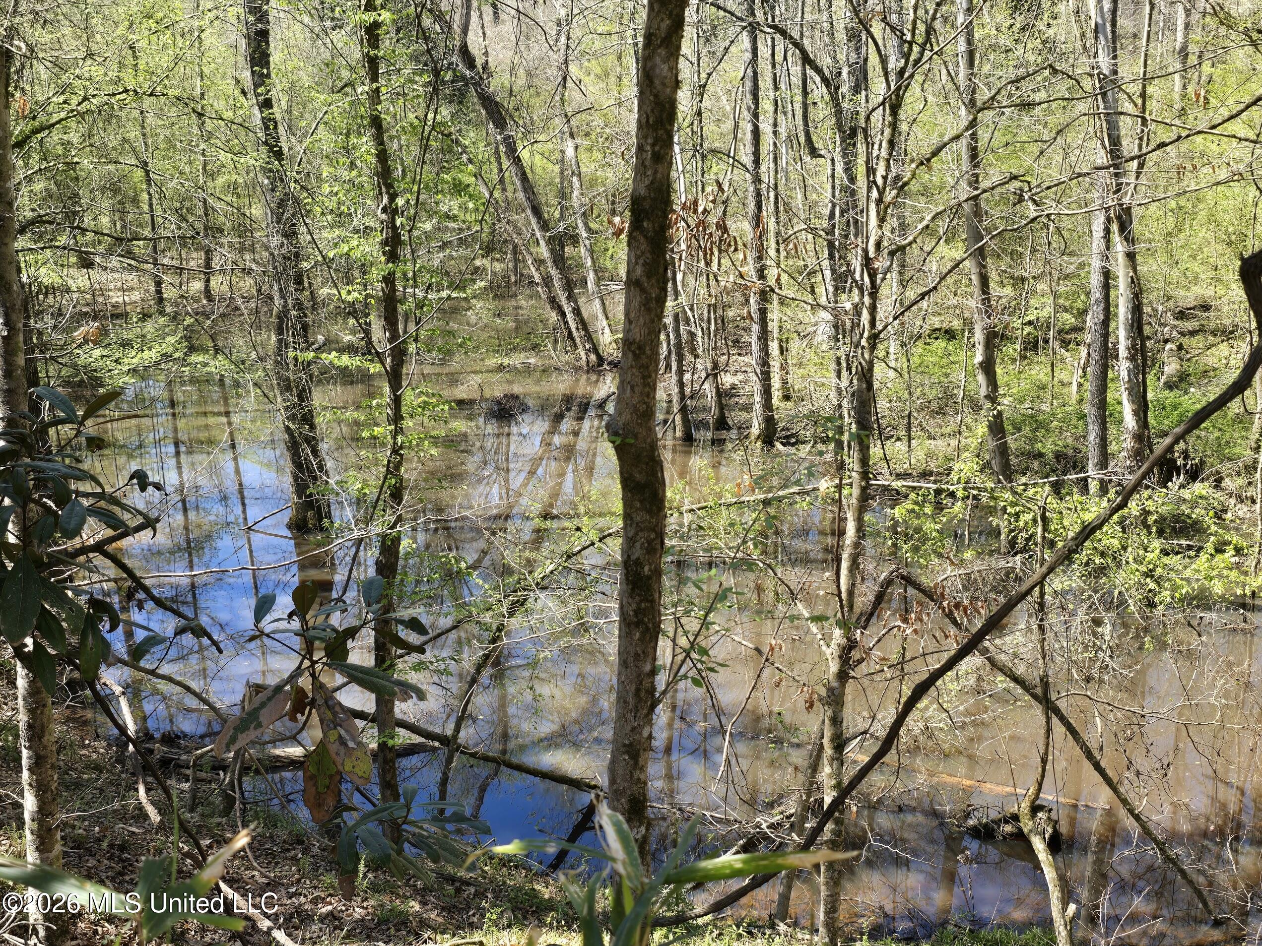 5582 White Apple Road Roxie, MS 39661 - Photo 12 of 70 20260321_134952