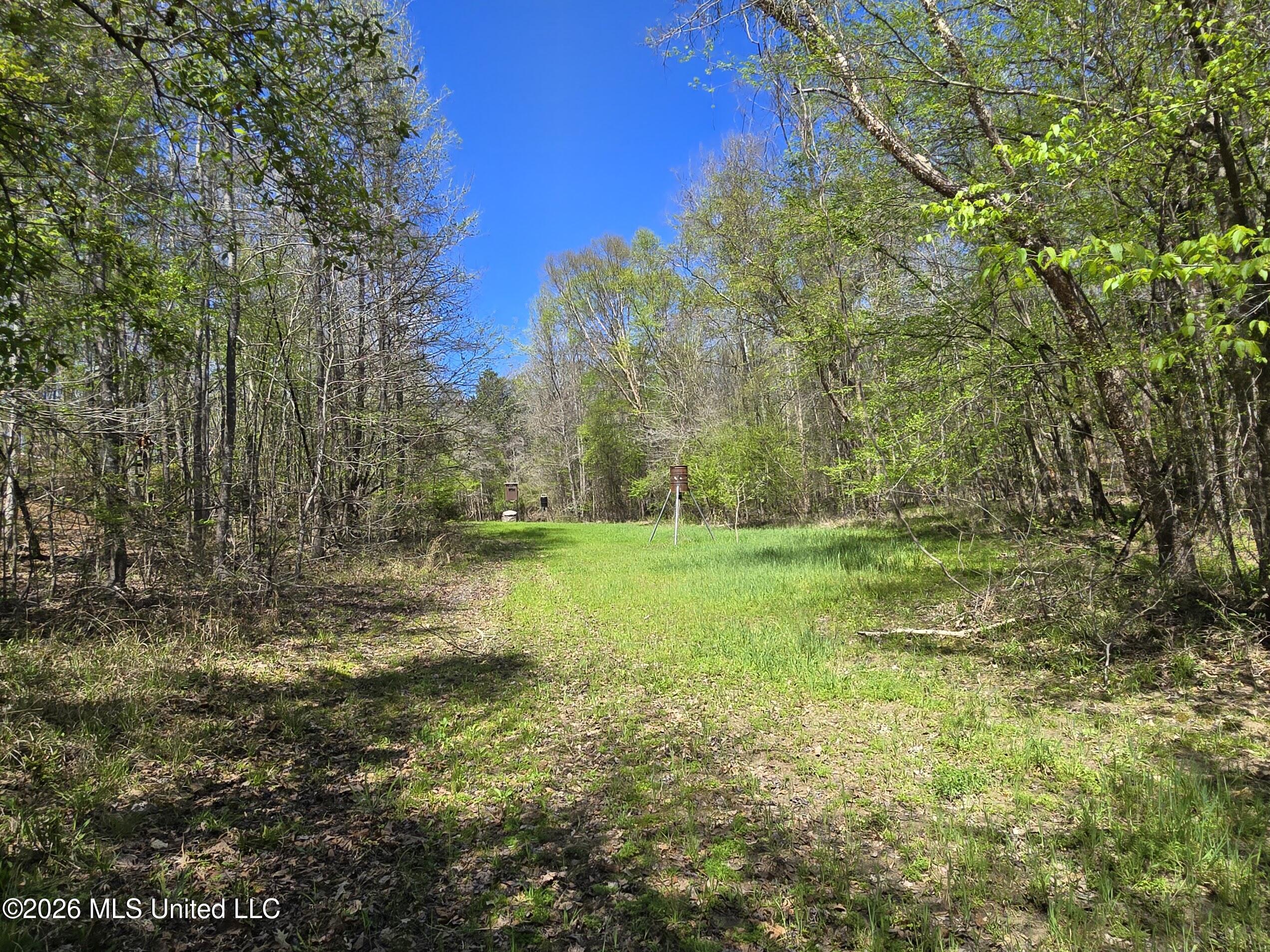 5582 White Apple Road Roxie, MS 39661 - Photo 13 of 70 20260321_140448